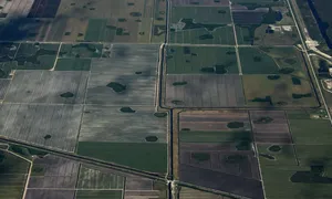 Aerial view of agricultural fields near Moore Haven, Glades County, Florida.