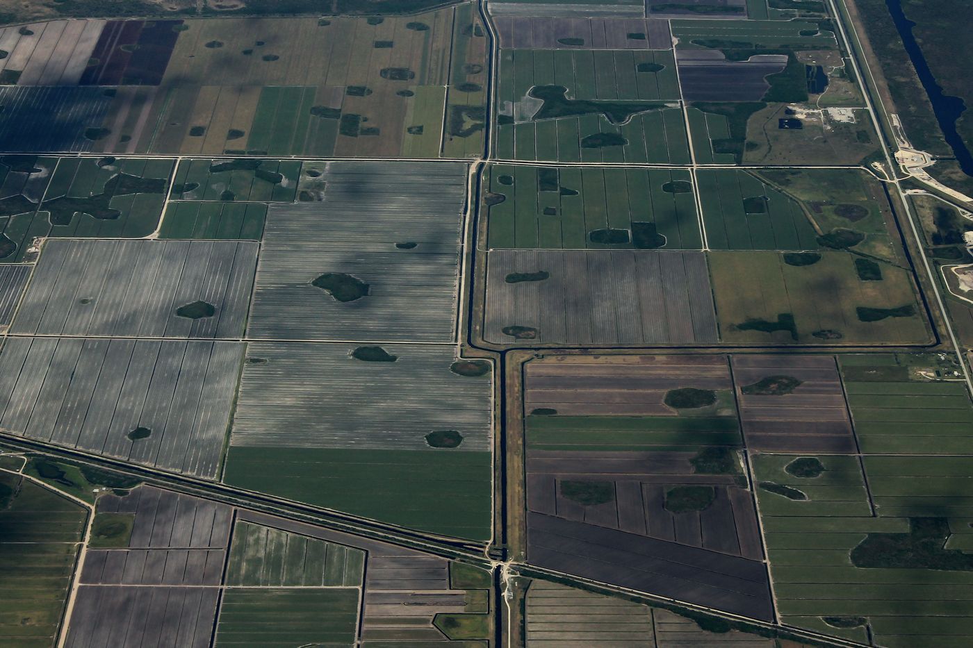 Aerial view of agricultural fields near Moore Haven, Glades County, Florida.