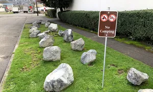 A 'No Camping' sign and large boulders placed in a grassy parking strip in Ballard, Seattle. Hostile architecture designed to prevent sleeping in public space.