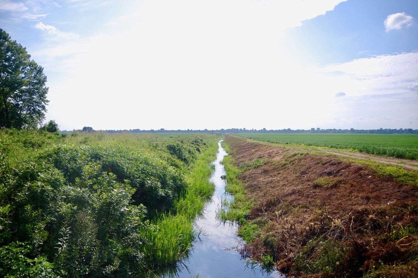 Ditch No. 70, a straight drainage canal cutting through flat farmland near Bragg City in Pemiscot County, Missouri.