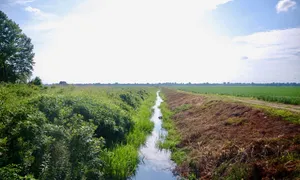 Ditch No. 70, a straight drainage canal cutting through flat farmland near Bragg City in Pemiscot County, Missouri.